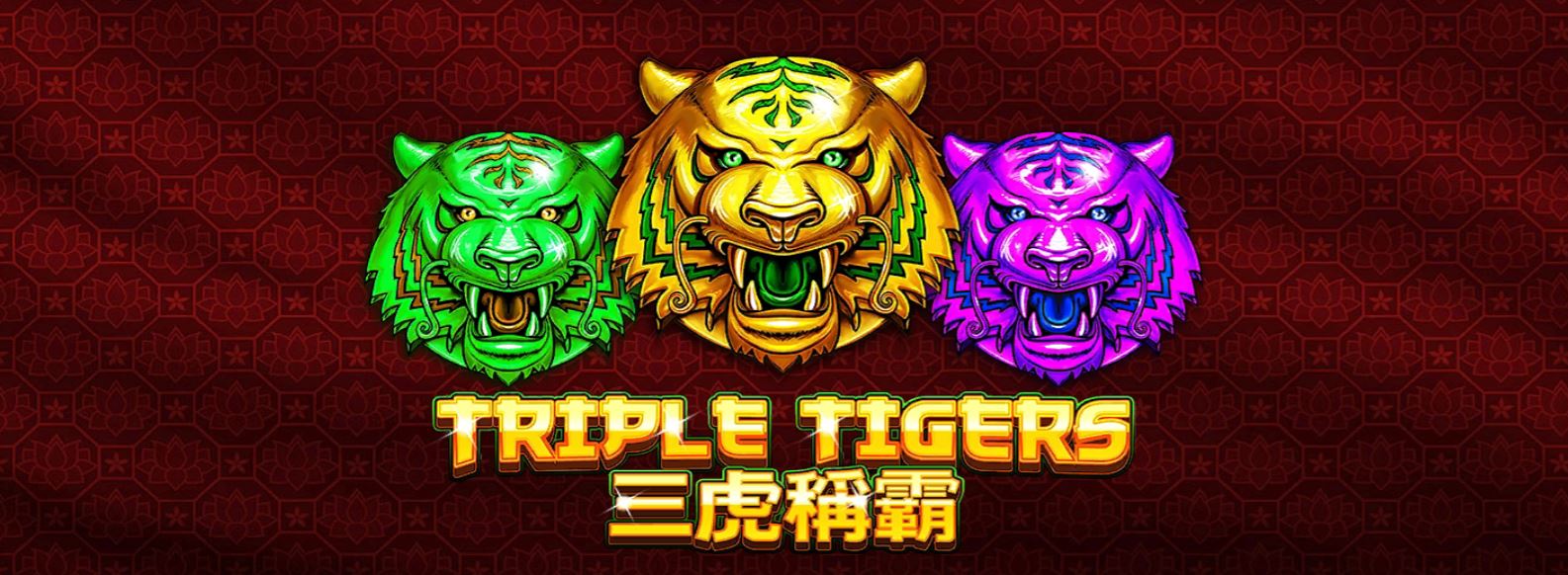SLOTXO รีวิวเกมส์ Triple Tigers สล็อตออนไลน์ สมัคร Free 24hr